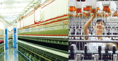 中糧帝國 網絡技術服務與數字化轉型之路